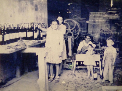 Bodega